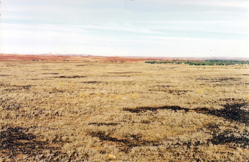 05-28-1999 12 country sth of oddnadatta & mt dutton