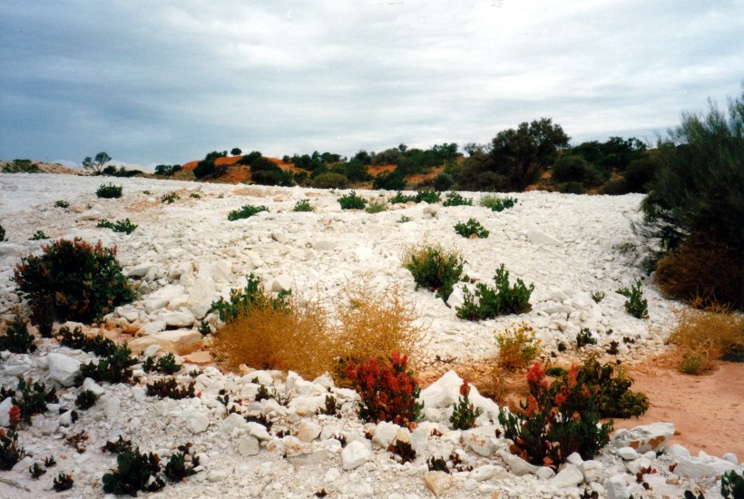 05-30-1999 at Mintabie opal fields
