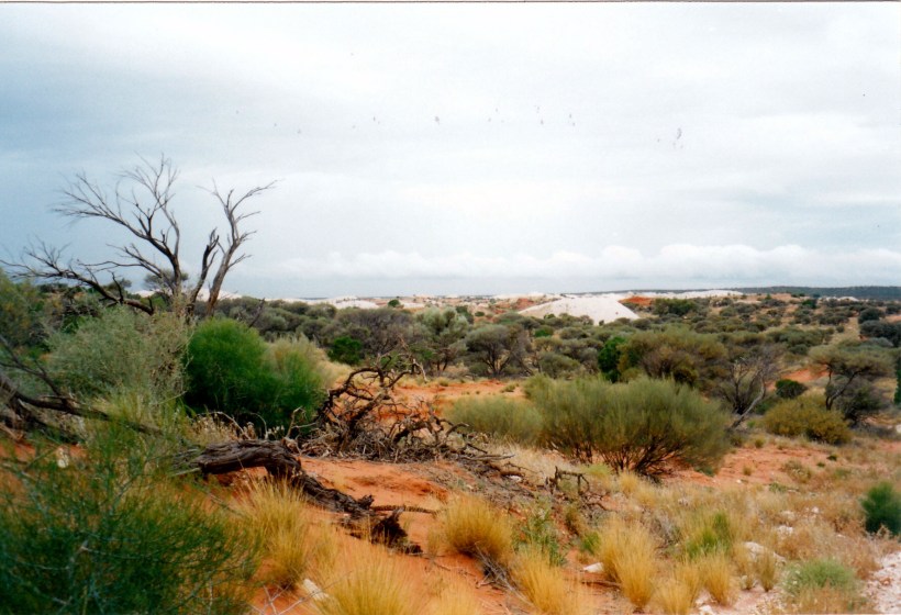 05-30-1999 mintabie scene.jpg