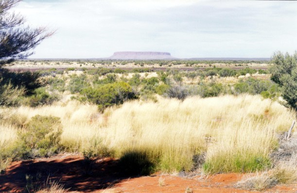 06-01-1999 Mt Connor.jpg