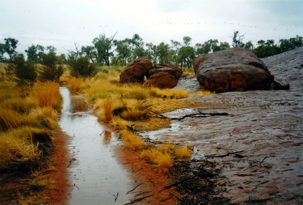 06-05-1999 wet path.jpg