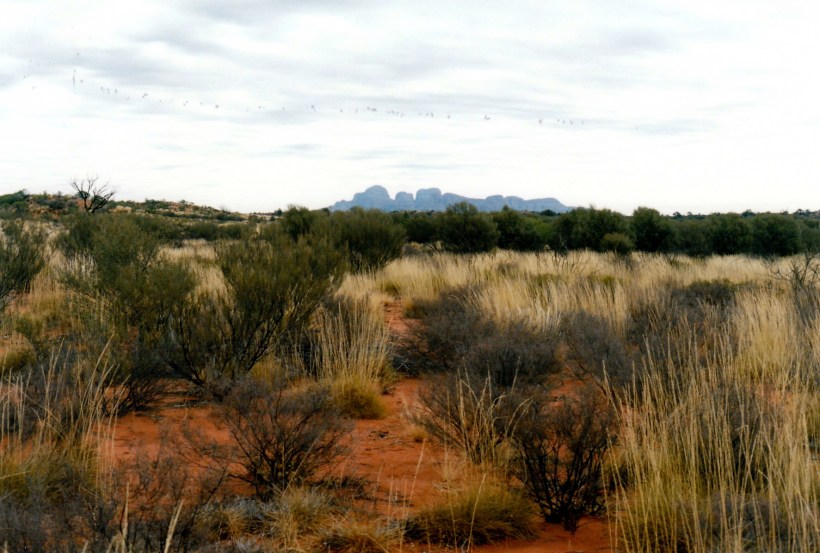 06-07-1999 19 olgas late afternoon.jpg