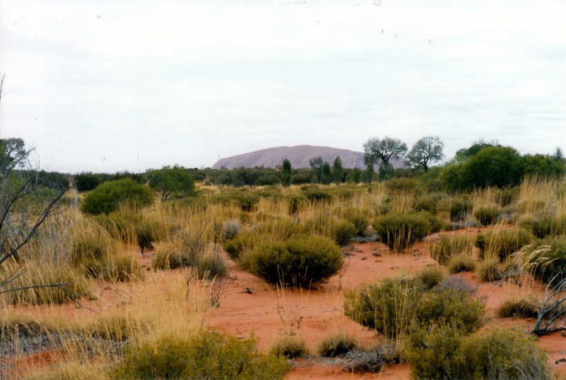 06-07-1999 20 Ayers Rock from Olgas rd.jpg