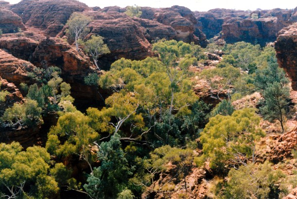 06-11-1999 18 view over Valley of Eden.jpg