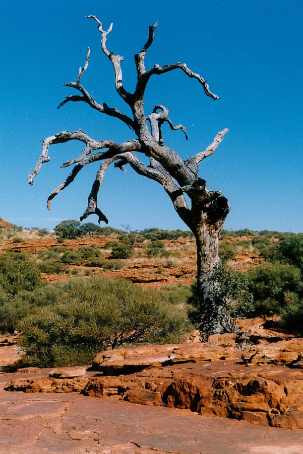 06-11-1999 19 above canyon.jpg