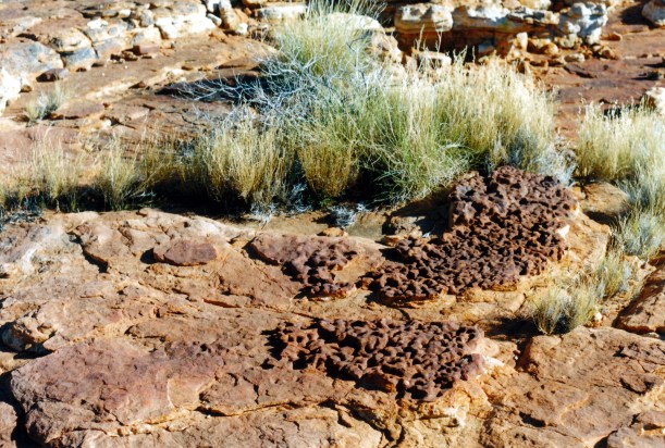 06-15-1999 11 Giles Tk interesting rock.jpg