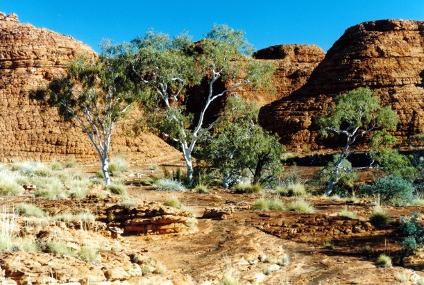 06-15-1999 13 Giles Tk ghost gums.jpg