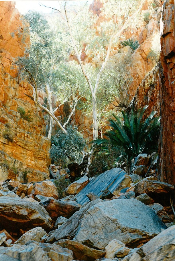 06-23-1999 03 beyond chasm