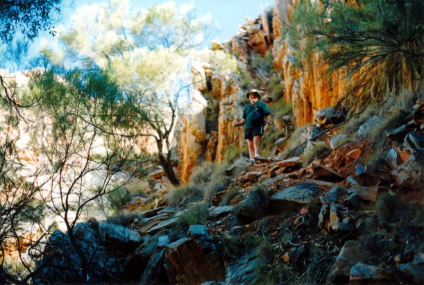 06-23-1999 04 goat tk at head of Standley Chasm valley.jpg