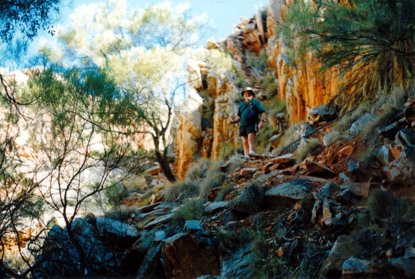 06-23-1999 04 goat tk at head of Standley Chasm valley.jpg