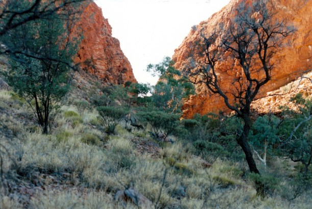 06-23-1999 06 Simpsons Gap late pm.jpg