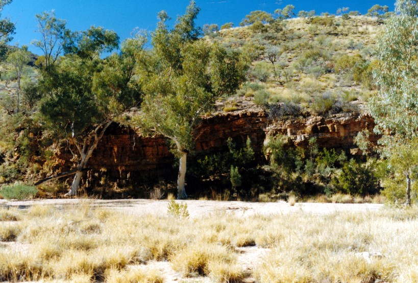 06-28-1999 03 roaks and gums Ellery Ck.jpg