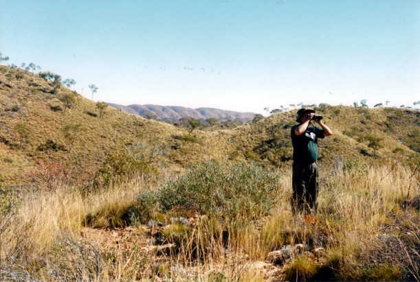 06-28-1999 08 Ellery Creek country