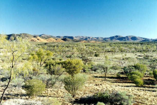 07-11-1999 02 Mt Riddoch garnet fossicking area.jpg