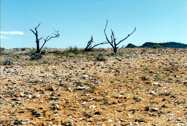 07-15-1999 06 the garden area