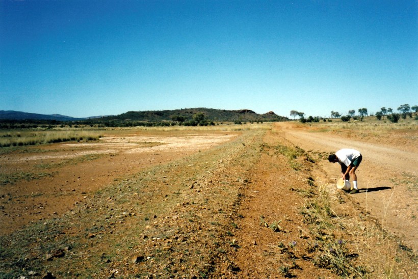 07-15-1999 07 paddy melons pinnacle bore tk.jpg