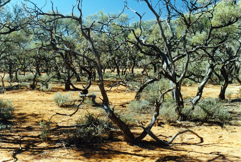 07-25-1999 garnet area getting lost.jpg