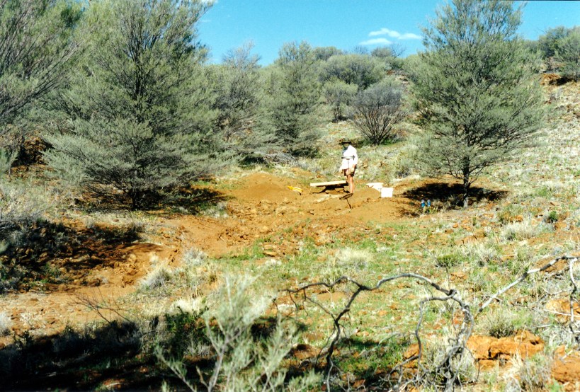 07-29-1999 01 new garnet fossicking area.jpg