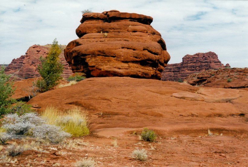 08-07-1999 03 Palm Valley on Kalarranga lo.jpg