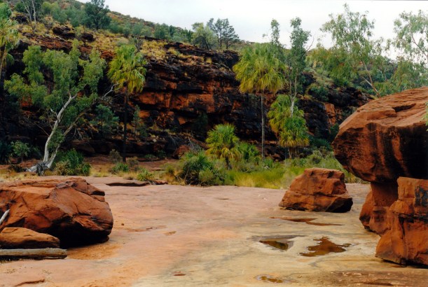 08-08-1999 03 Palm Valley walk relics of wetter time