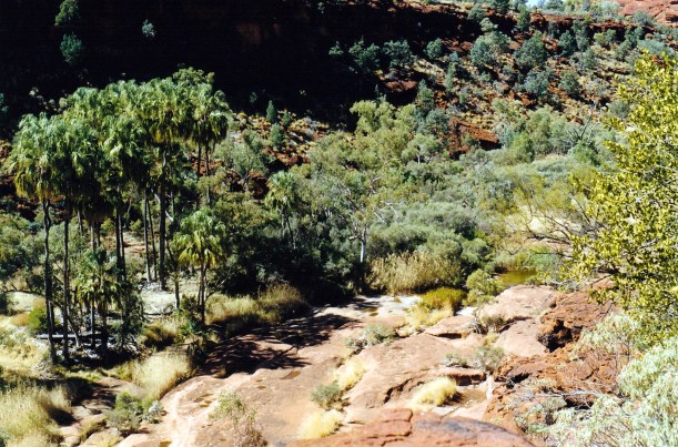 08-08-1999 09 palm valley from rim.jpg