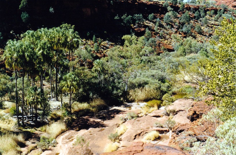 08-08-1999 09 palm valley from rim.jpg