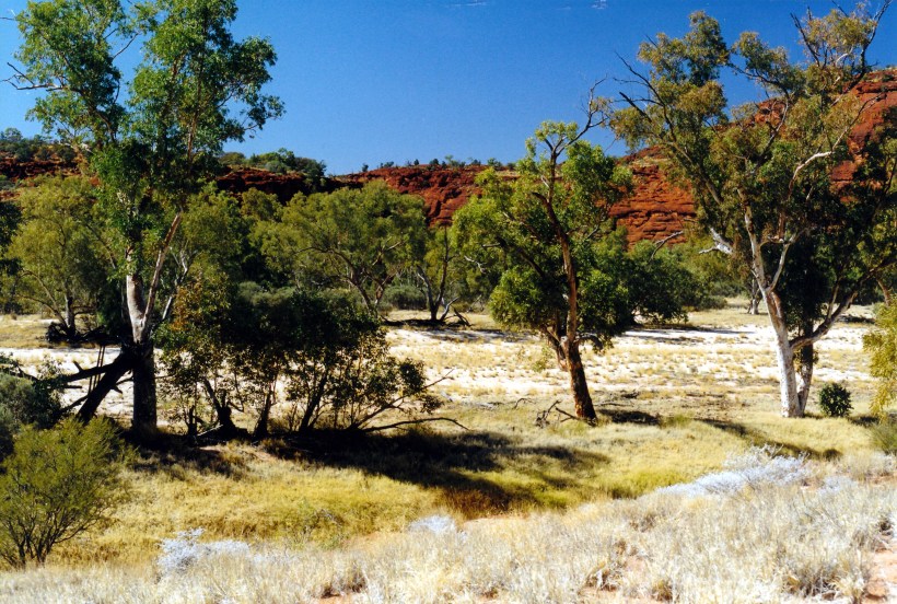 08-09-1999 02 the Finke R and start of Glen of Palms.jpg