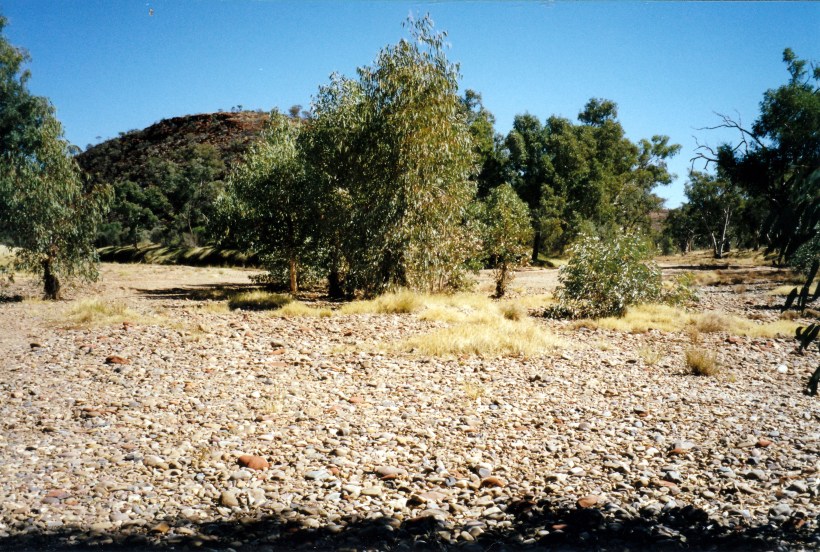 08-10-1999 02 junction of Ellery Ck &amp; Finke R