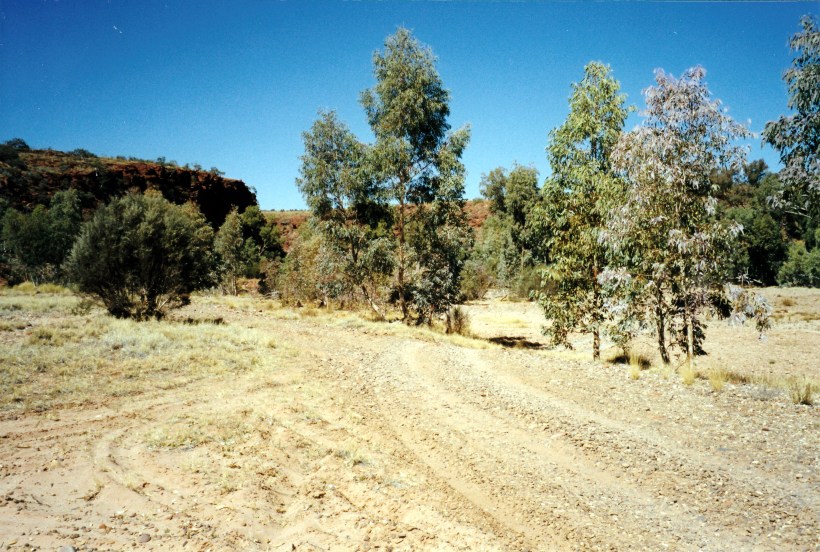 08-10-1999 04  Finke Gorge ahead.jpg