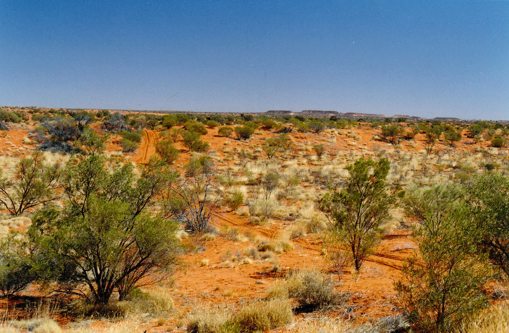 08-13-1999 04  road contrast.jpg