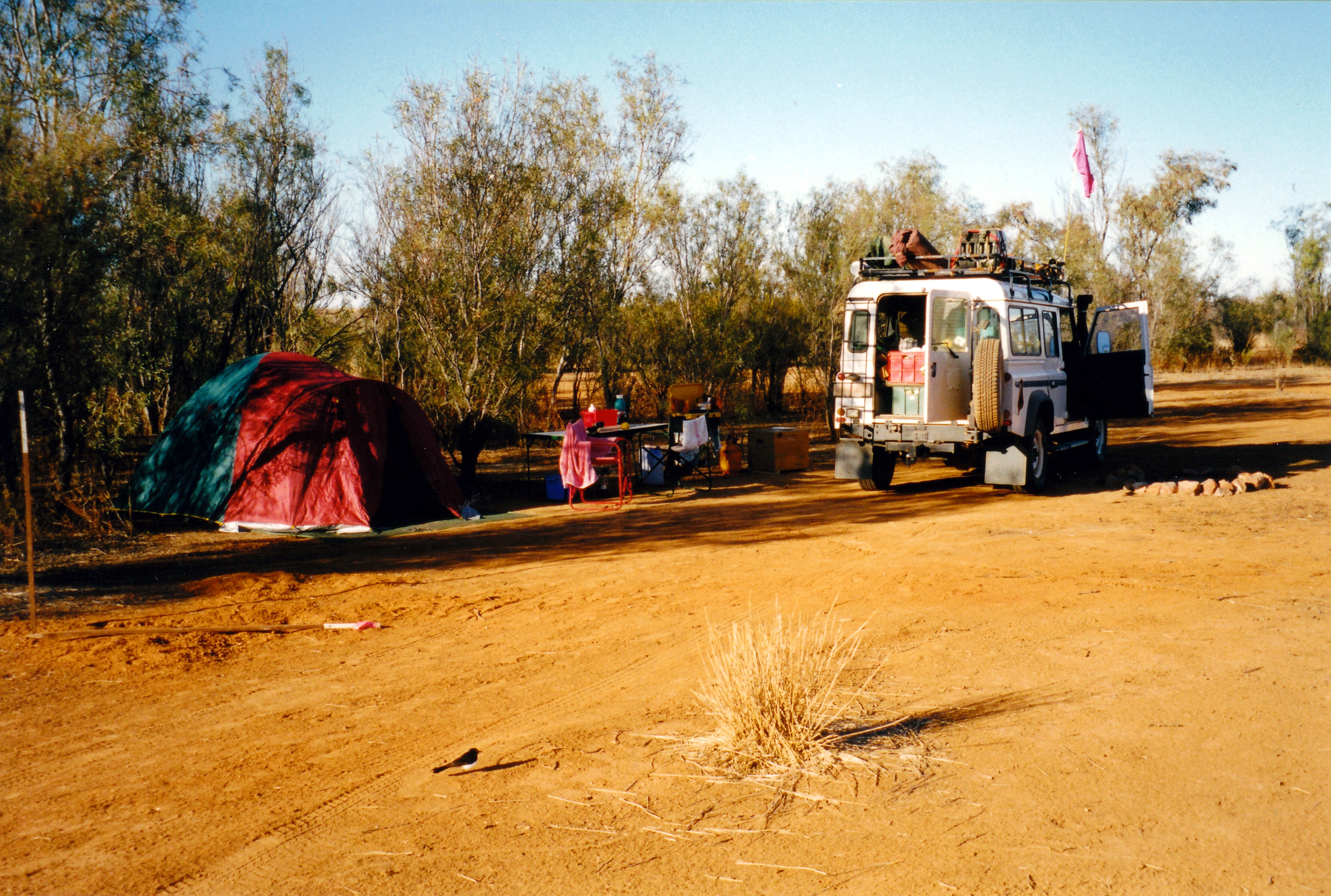 08-14-1999 01  Mt Dare camp in morning.jpg