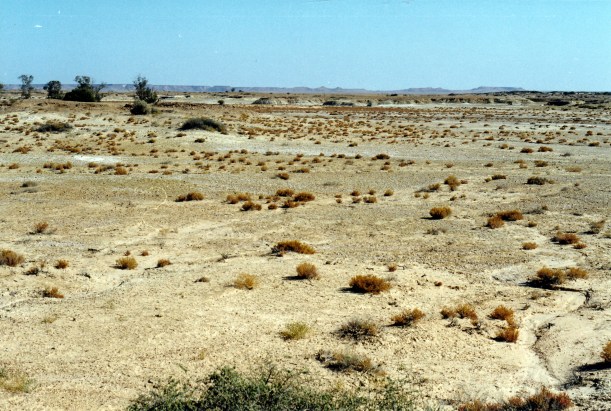08-15-1999 03 Spring Ck delta and Dalhousie mound springs 2.jpg