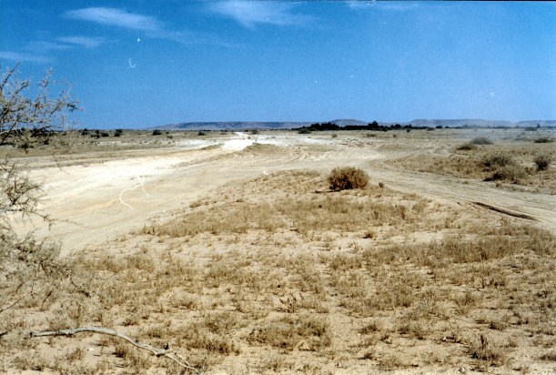 08-15-1999 05 Glue Pot bog Spring Ck Delta Tk.jpg