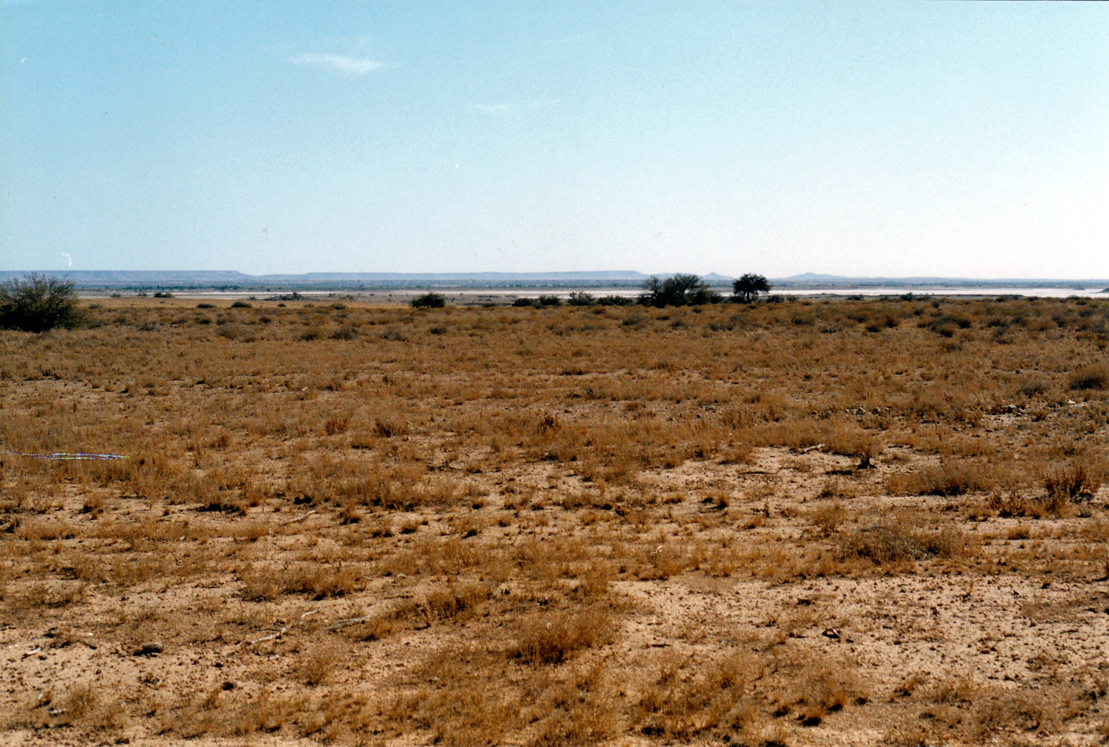 08-15-1999 06 Freeth Junction where Finke ends in desert salt pan