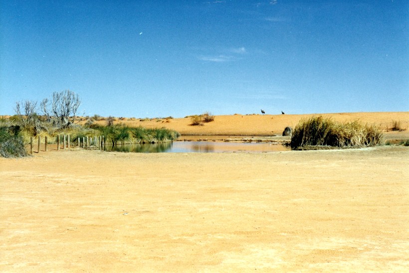 08-15-1999 09 Purni Bore &amp; emus