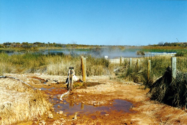 08-15-1999 10 Purni the bore