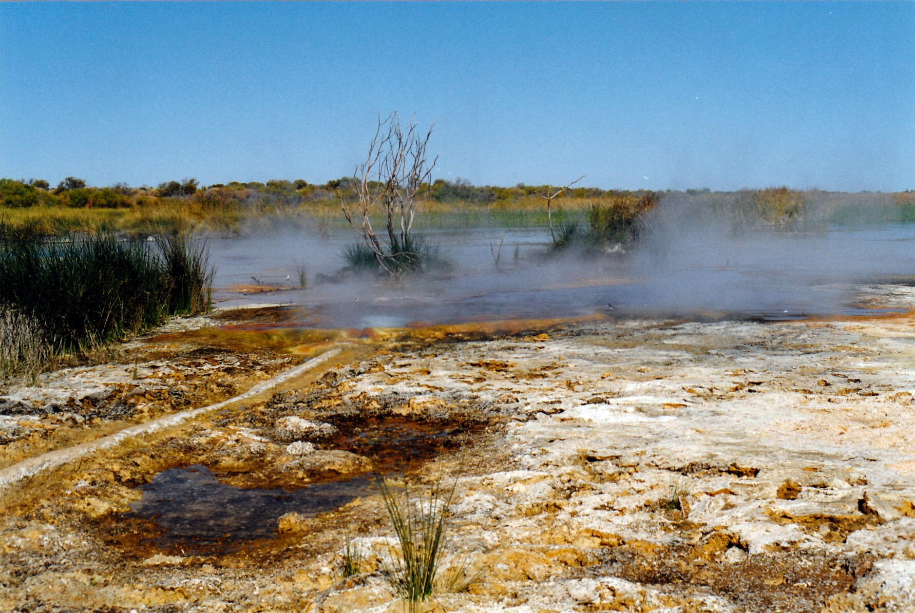 08-15-1999 11  purni bore.jpg