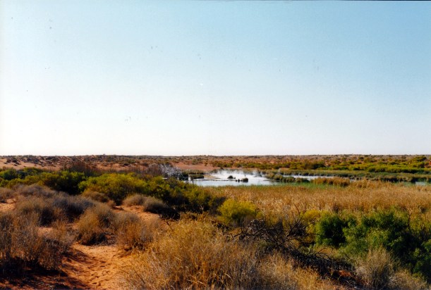 08-15-1999 14 view over Purni Bore to camp area