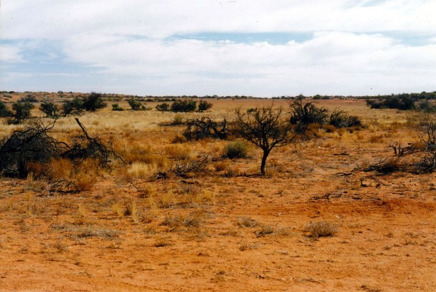 08-16-1999 between dunes french line.jpg