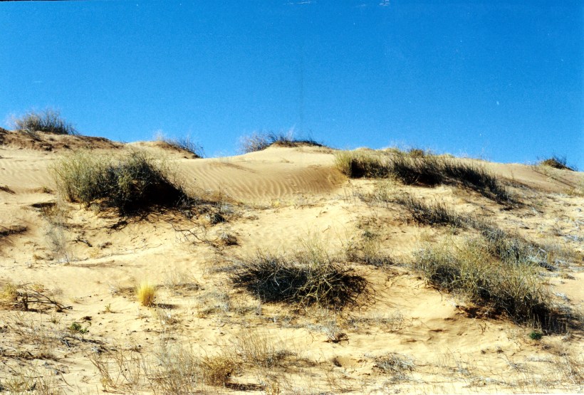 08-17-1999 02 dunes at Rig Rd camp