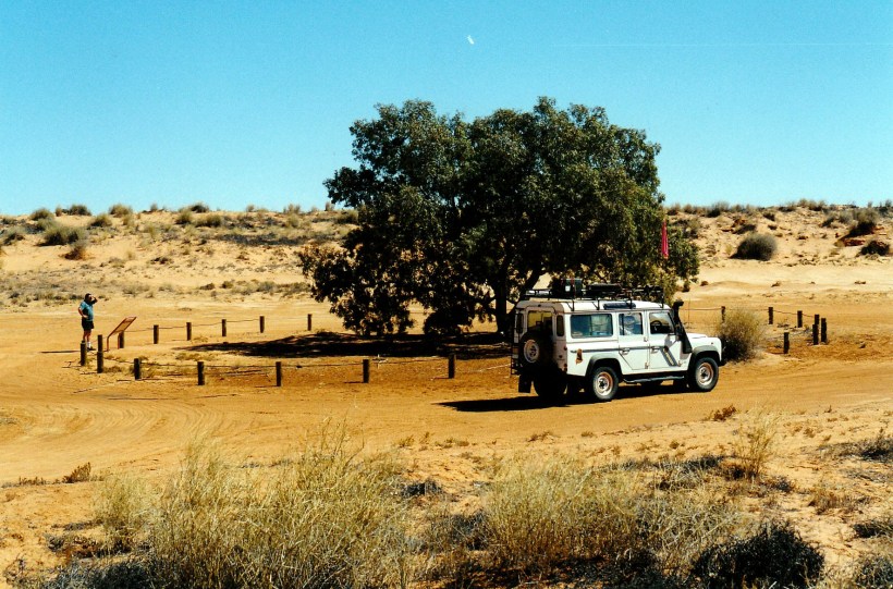 08-17-1999 14  lone gum coolibah.jpg