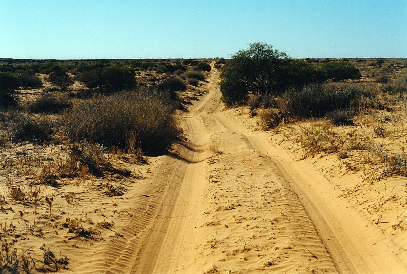 08-17-1999 25  AAK roller coaster.jpg