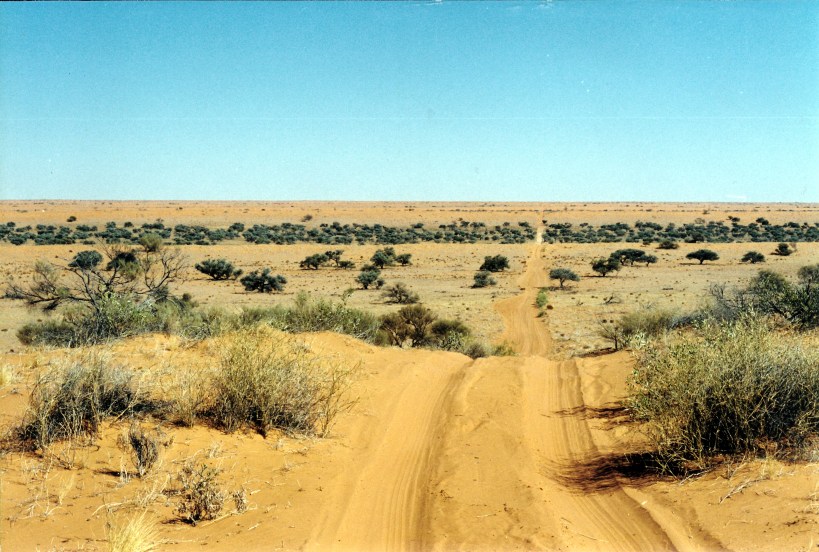 08-19-1999 03  QAA Line creek line and more dunes.jpg