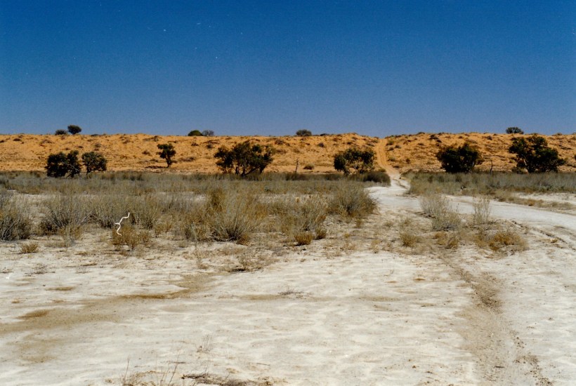 08-19-1999 05  eyre ck.jpg