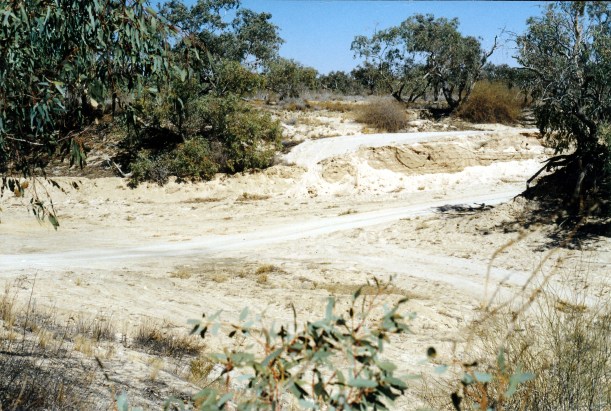 08-19-1999 06  Eyre Ck main channel.jpg