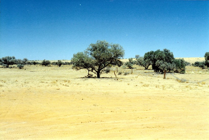 08-19-1999 vermin fnce remains.jpg