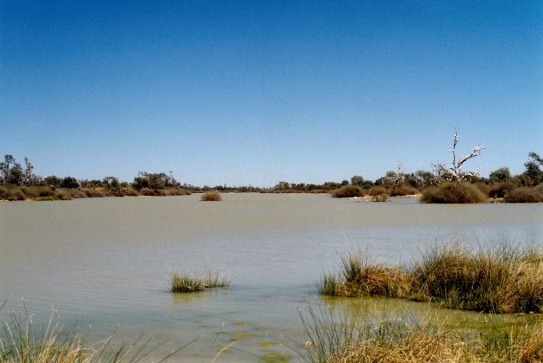 08-20-1999 05 warburton ck bville