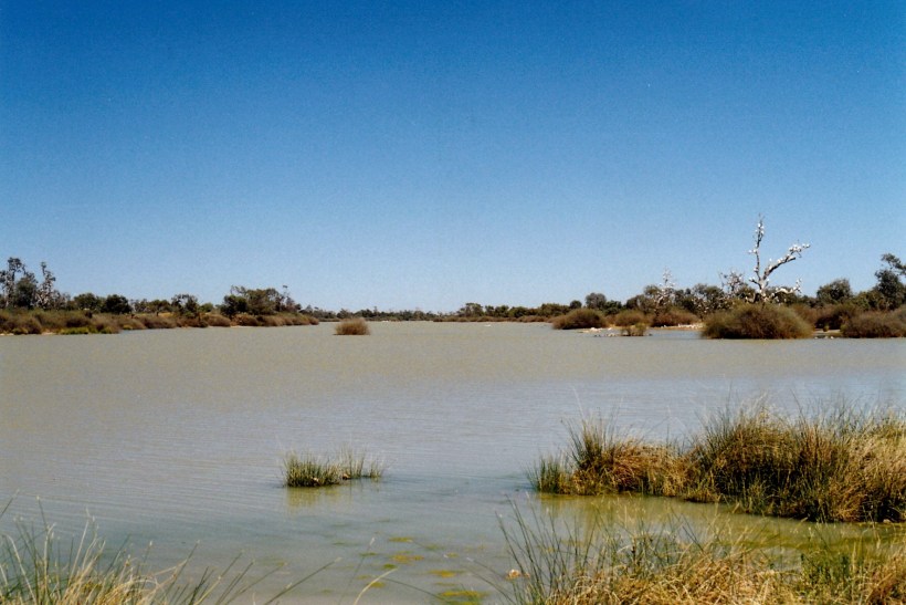 08-20-1999 05 warburton ck bville