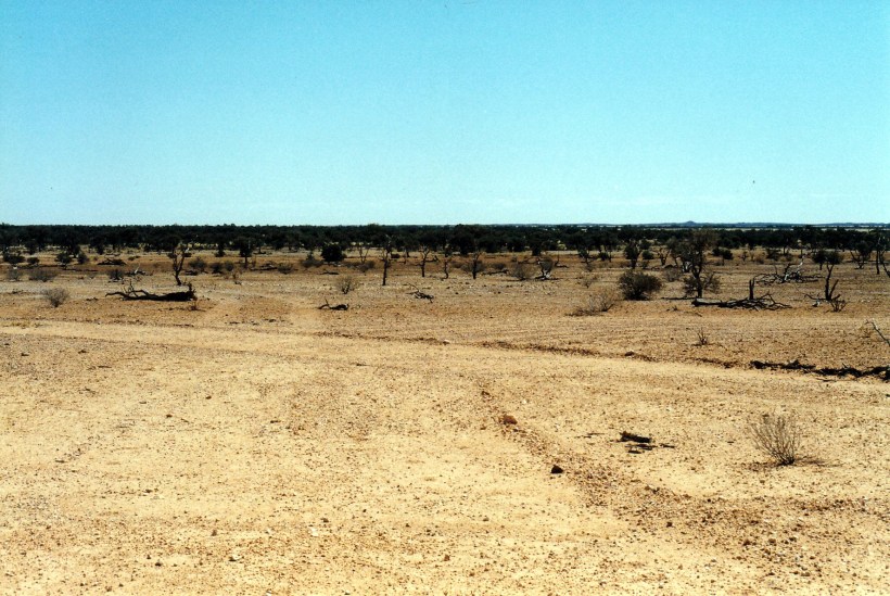 08-22-1999 georgina r floodplains.jpg