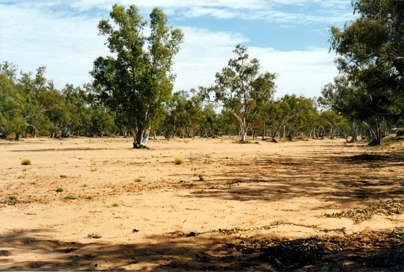 08-23-1999 03  Plenty R bed .jpg
